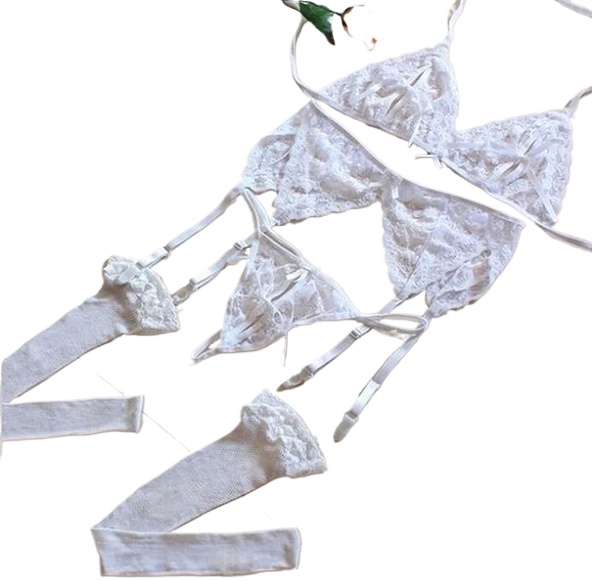Lace Women Lingerie Set 4 Pcs  – Sheer Bra Lace Bewertung und Preis