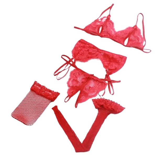 Lace Women Lingerie Set 4 Pcs  – Sheer Bra Lace Bewertung und Preis