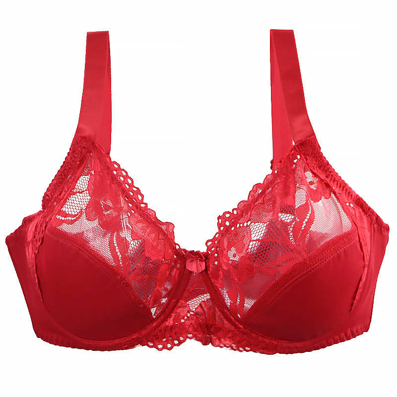 Minimizer Plus Size Underwire  – Full Coverage Bra Bewertung und Preis