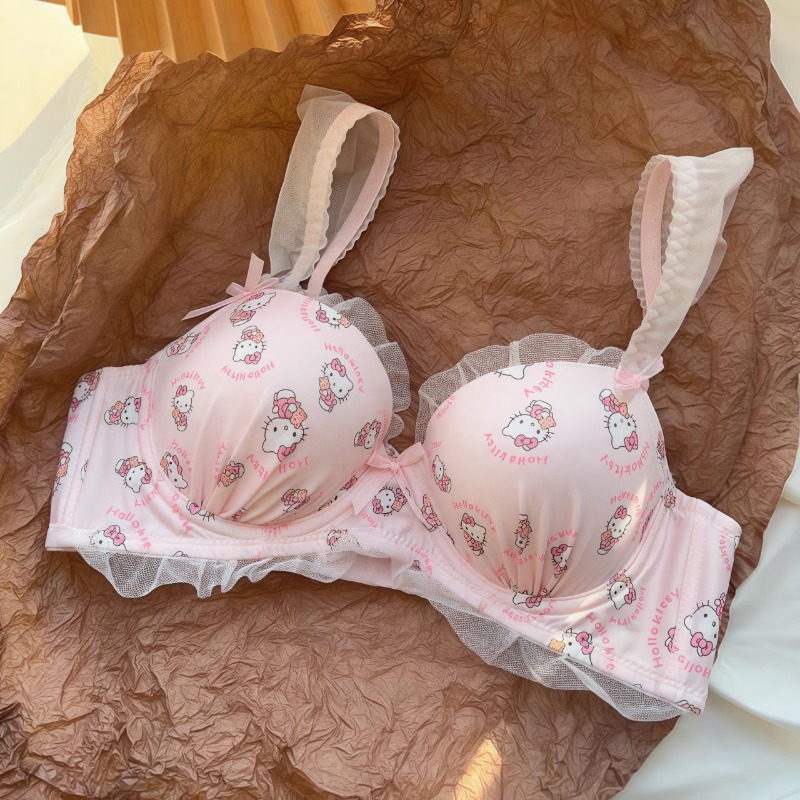 Sanrio Cute Japanese Bra Hello – Lace Bralette Set Bewertung und Preis